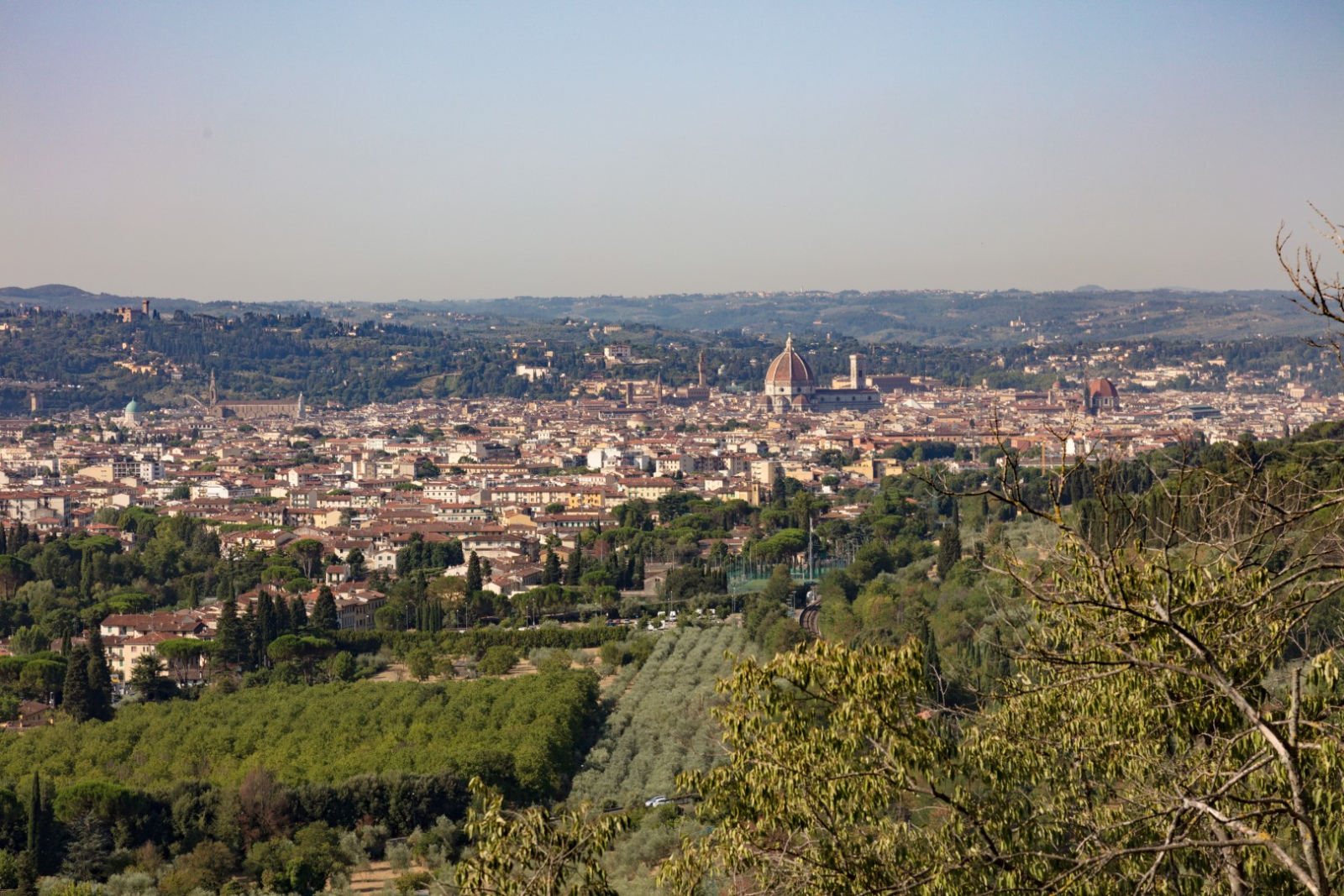 Firenze3527 (Large)